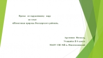 Памятники природы Володарского района Нижегородской области. Арутюнян Наташа 3б класс.
