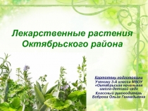 Презентация Картотека лекарственных растений Октябрьского района