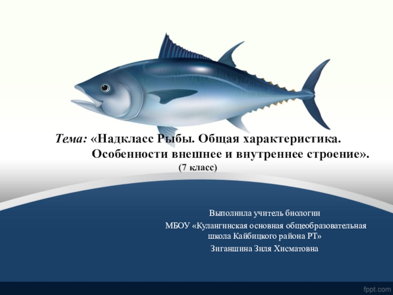 Презентация по биологии Класс Рыбы. Общая характеристика