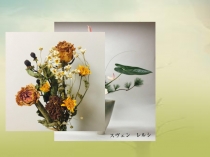 Презентация Корень, его значение и строение