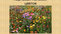 Презентация к празднику в детском оздоровительном лагере Карнавал полевых цветов