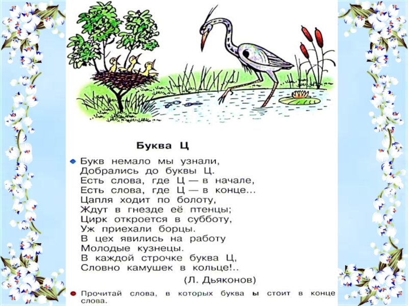 Текст 1 класс буква ц. Буква ц задания для 1 класса. Буква ц 1 класс презентация. Слова на букву ц. Птица с буквой ц в названии.