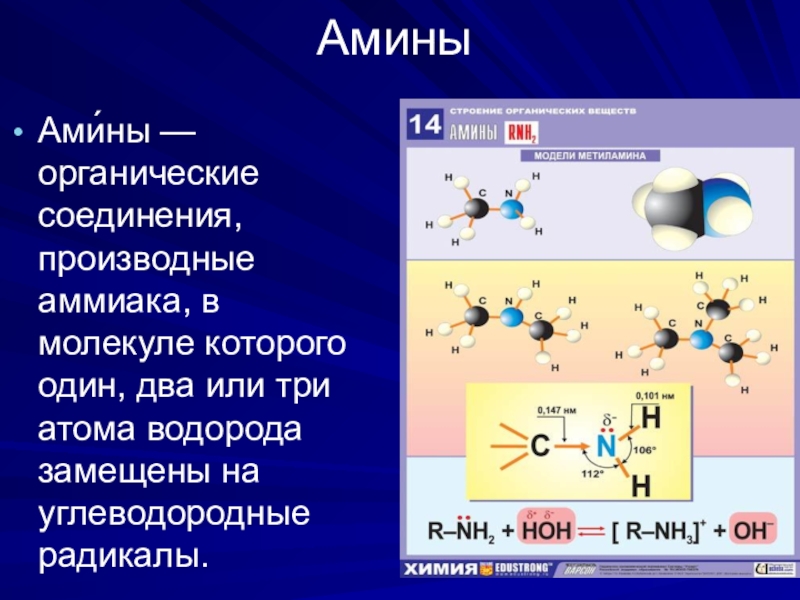 План конспект амины