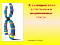 Презентации по биологии на тему Взаимодействие аллелей