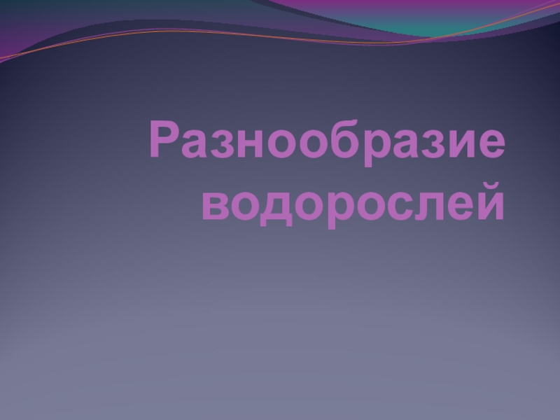 Презентация по биологии на тему Разнообразие водорослей