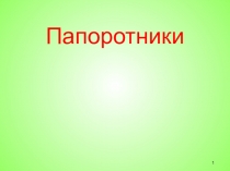 Конспект урока и презентация на тему Папоротники, биология 7 класс, коррекционная школа.