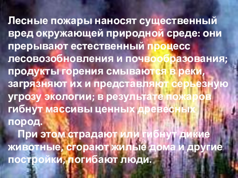 пожар неконтролируемый процесс горения причиняющий. лесные пожары презентация. вред причиняемый огнем.