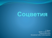 Презентация по биологии на тему Соцветия (6 класс)