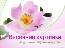 Презентация Весенние картинки, занятие по аппликации