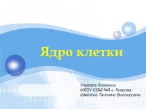 Ядро клетки