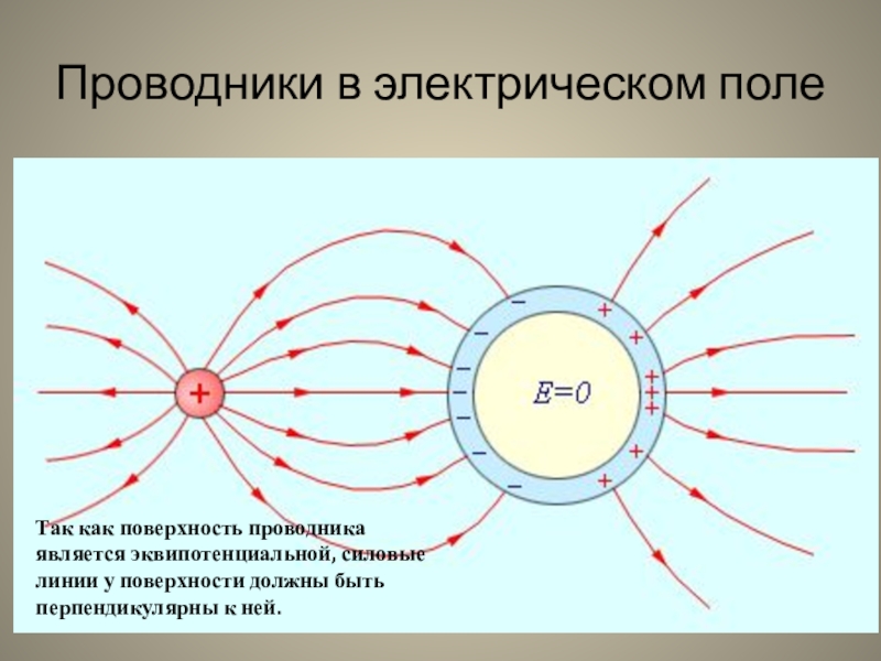 Электрическое поле класс. Проводники в электрическом поле. Электростатическая защита проводника. Защита от электростатического поля. Силовые линии электростатического поля на проводнике.