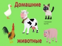 Презентация для 1 младшей группы Домашние животные