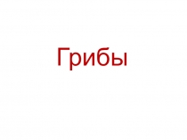 Презентация по физиологии питания с основами товароведение продовольственных товаров на тему Грибы