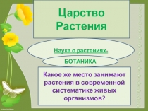 Презентация по биологии Царство растения