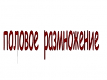 Презентация по биологии на тему: Половое размножение