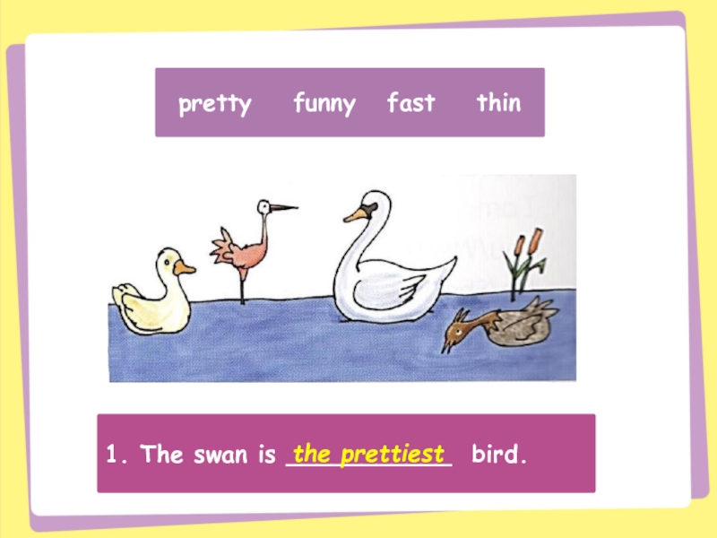 1. The swan is ___________ bird.the prettiestpretty  funny  fast  thin