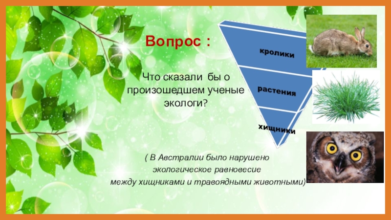 Экологическое равновесие. Презентация экологическое равновесие. Экологическое равновесие 4 класс презентация. Экологическое равновесие в природе 4 класс. Экологическое равновесие 4 класс окружающий.