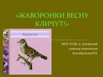 Презентация Жаворонки весну кличут!