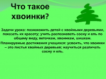 Презентация по окружающему миру на тему Что такое хвоинки?