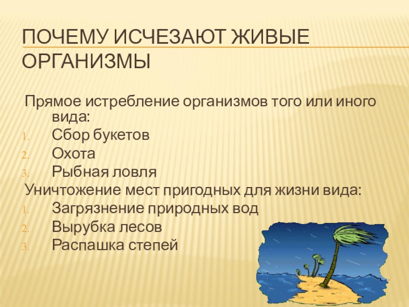 Исчезли почему с. Прямое истребление организмов. Прямое и Непрямое истребление животных и растений. Прямое истребление растений и животных. Причины исчезновения растений и животных прямое истребление.