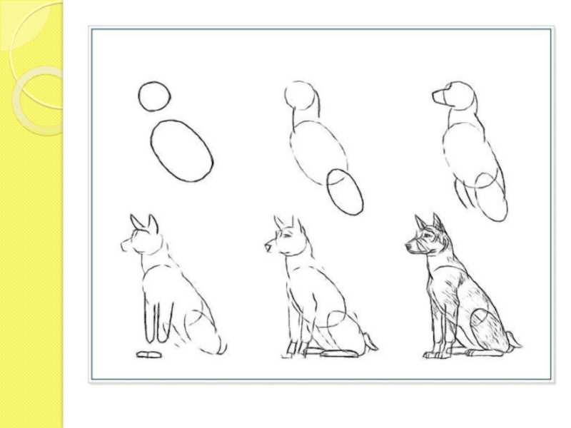 Изо 2 класс рисуем собаку