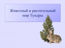 Презентация по окружающему миру на тему: Животный растительный мир Тундры (4 класс)
