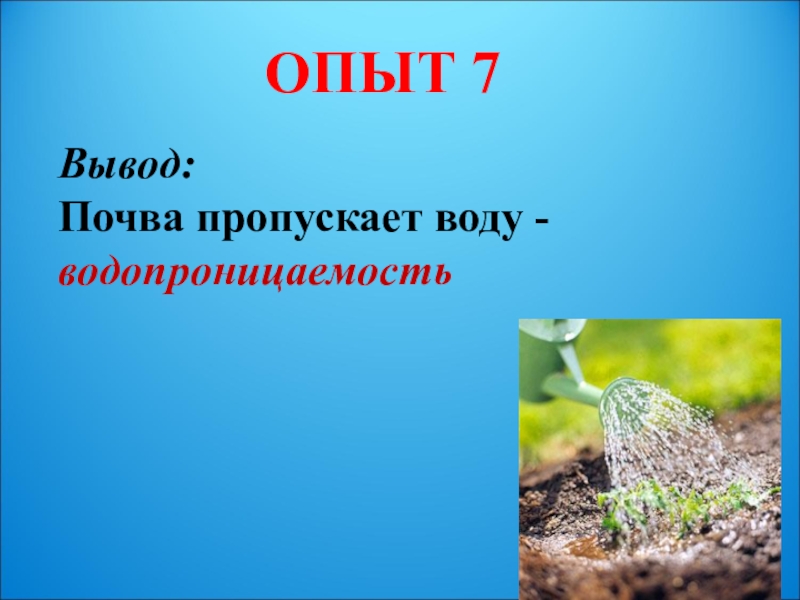 7 вывод. Почва пропускает воду. Глина не пропускает воду. Грунт не пропускающий воду. Почвы которые хорошо пропускают воду.