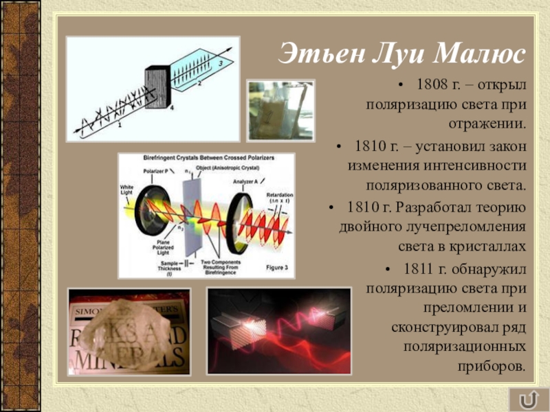 Электромагнитная природа света 9 класс физика тест. Поляризация света в природе. Этьен Луи малюс поляризация. Электромагнитная природа света. Урок электромагнитная природа света 9 класс.