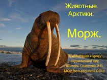 Презентация к уроку окружающий мир по теме Природные зоны России. Арктика