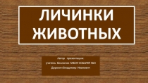 Презентация по биологии на тему: Личинки животных (7 класс)