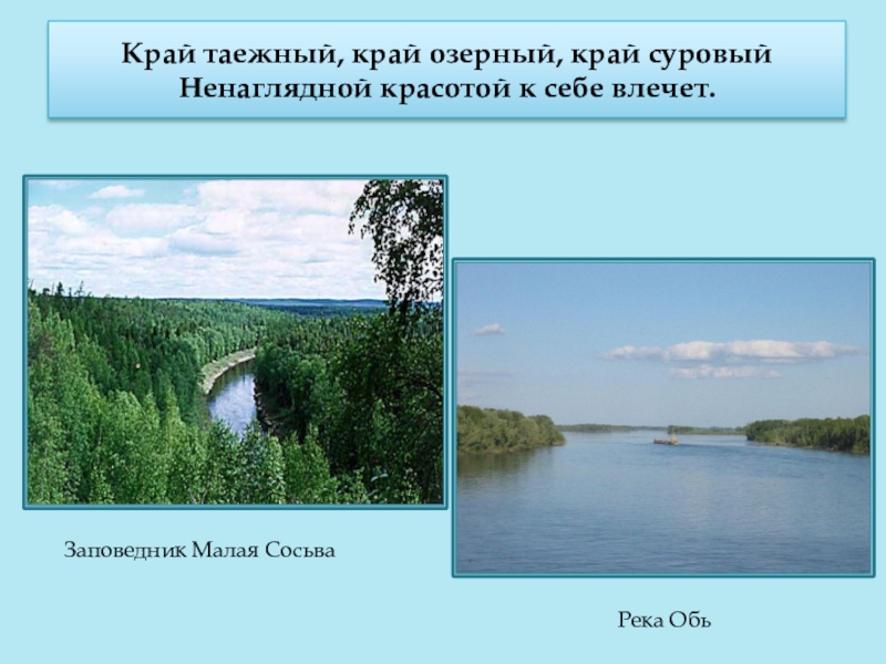 Заповедники хмао. Заповедник малая Сосьва презентация. Река малая Сосьва. Заповедник малая Сосьва Тюменской области. Малая Сосьва заповедник в Югре презентация.