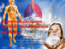 Презентация по биологии на тему Значение дыхания. Органы дыхательной системы (8 класс)