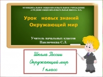 Урок окружающего мира для 1 класса