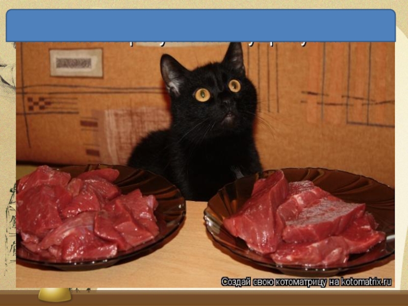 Не хочется есть мясо. Смешные котики с надписями про еду.