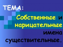 Презентация по русскому языку на тему: Существительное 3 класс.