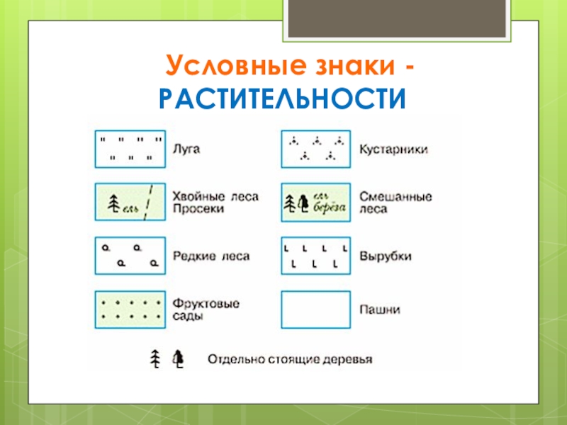 Топографические знаки и их обозначения в картинках для турслета