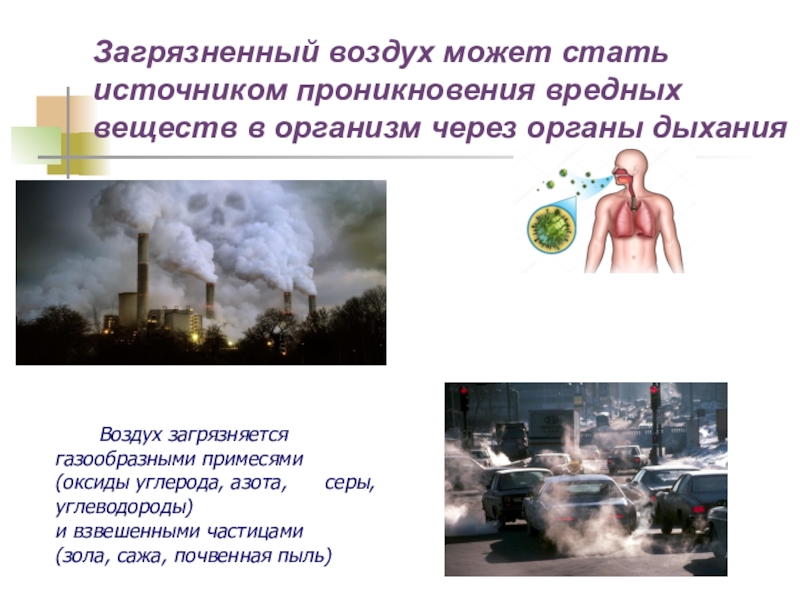 Загрязнение окружающей природной среды и здоровье человека обж 8 класс презентация