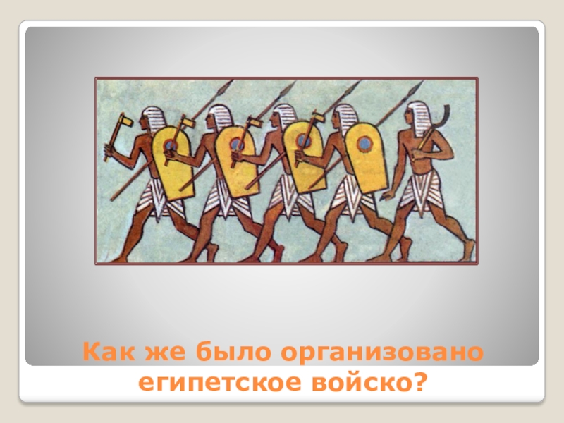 Как же было организовано египетское войско?