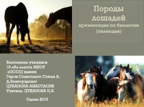 Презентация по биологии (селекция) Породы лошадей