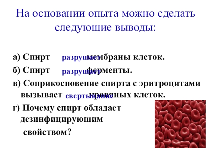 Влияние этилового спирта на организм человека проект