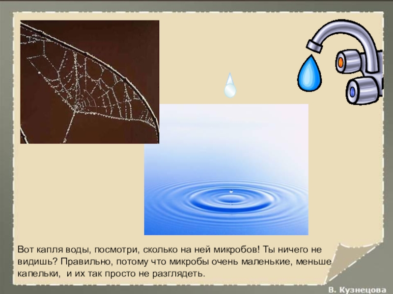 Посмотри вода. Презентация на тему капля воды. Презентация на тему капля воды крупица золота. Из чего состоит капля воды. Сколько микроорганизмов в капли воды.