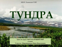 Презентация по окружающему миру на тему Тундра