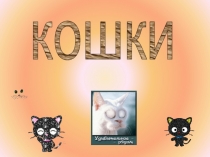 Презентация по окружающему миру Кошки