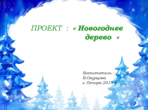 Презентация проекта Ёлочка, елочка,зелёная иголочка