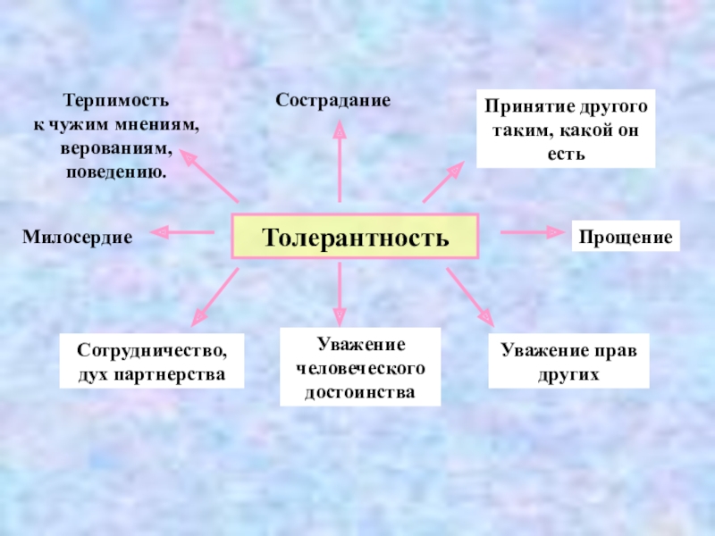 терпимость к чужим мнениям и верованиям называется