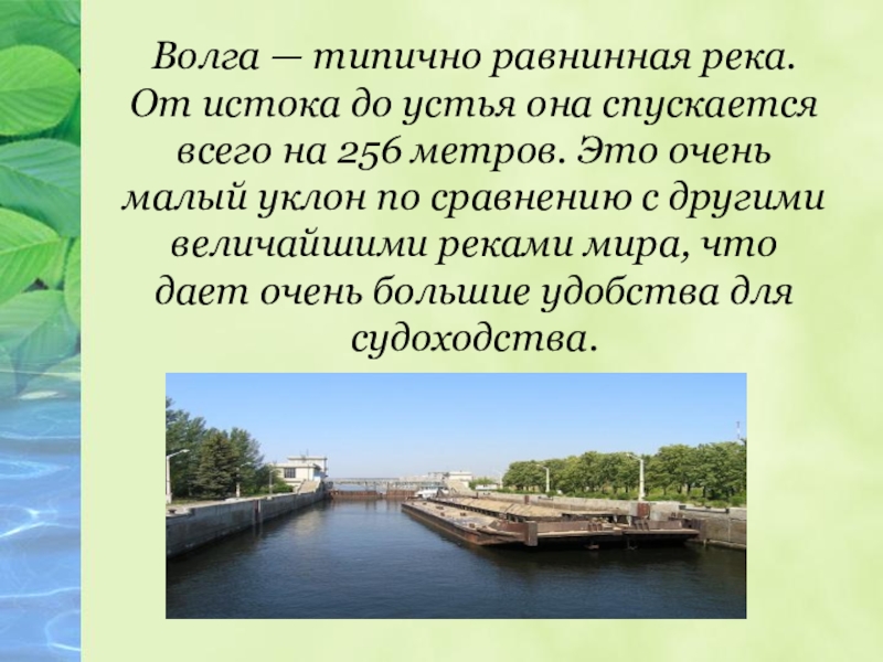 Волга — типично равнинная река. От истока до устья она спускается всего на 256 метров. Это очень