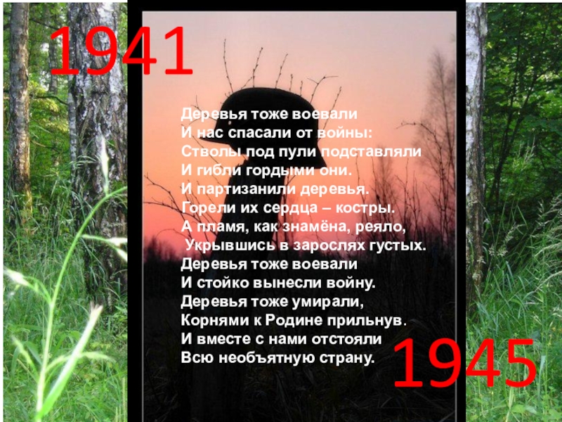 Деревья тоже воевали презентация