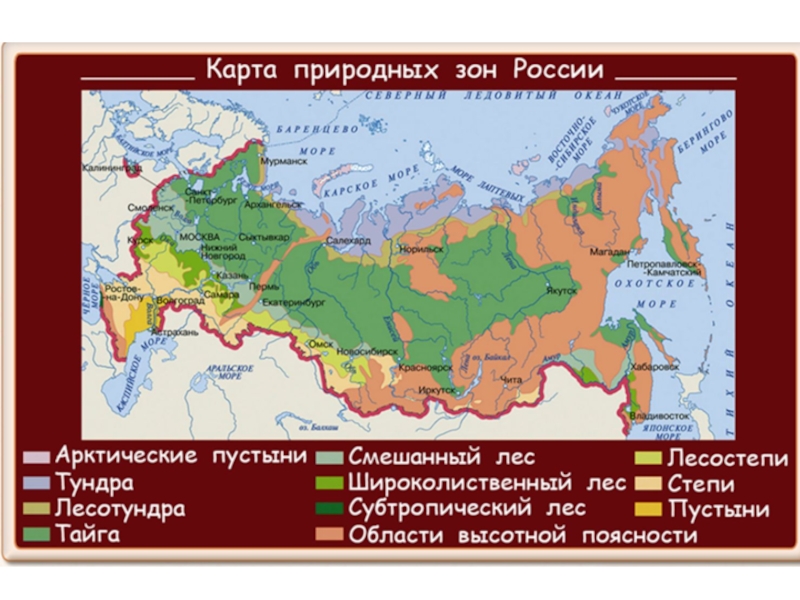 Природные зоны россии 4 класс карта с названиями в впр по окружающему миру