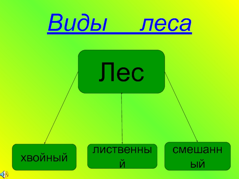 Презентация для детей виды леса