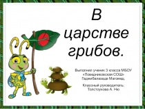 Презентация к уроку окружающего мира В царстве грибов